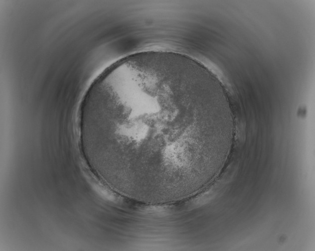 X0000094441078200711081243