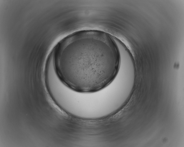 X0000094441080200711081243