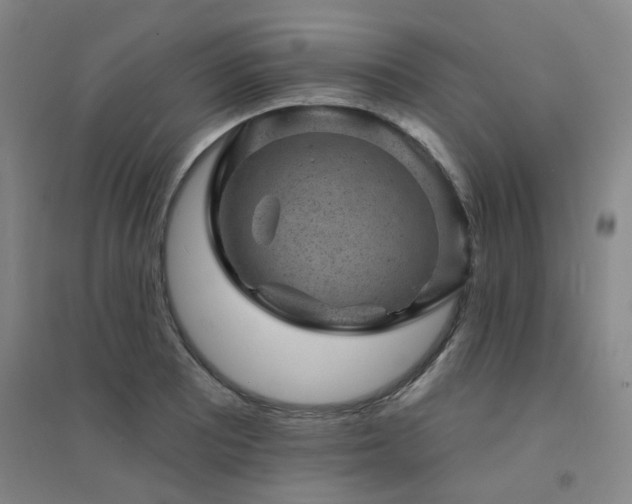 X0000094441081200711081243