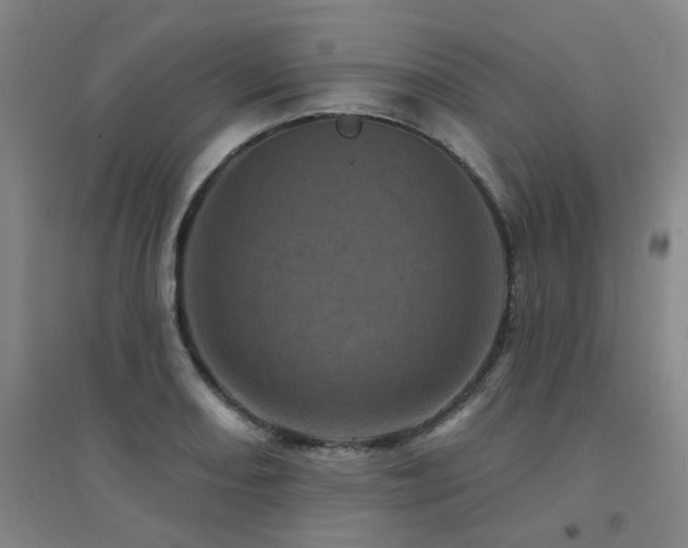 X0000094441082200711081243