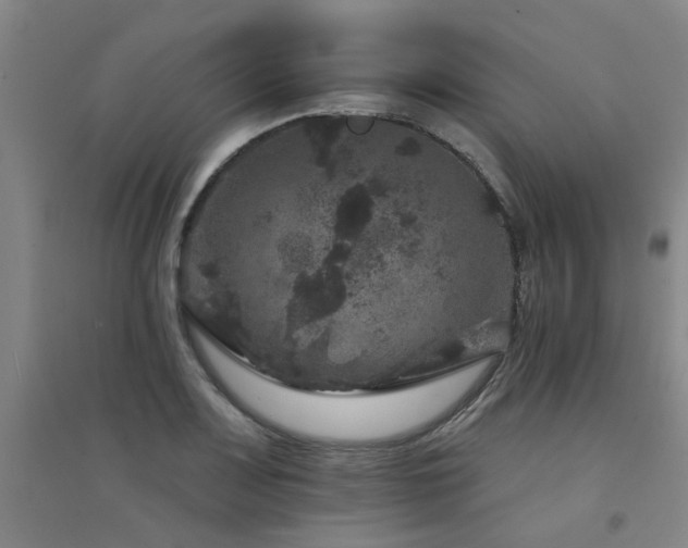 X0000094441083200711081243