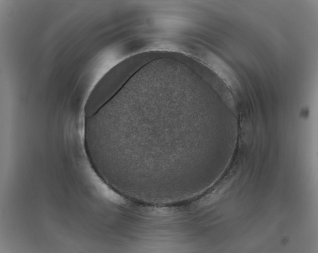 X0000094441084200711081243