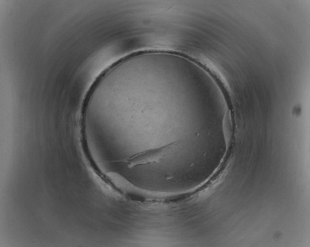 X0000094441085200711081243