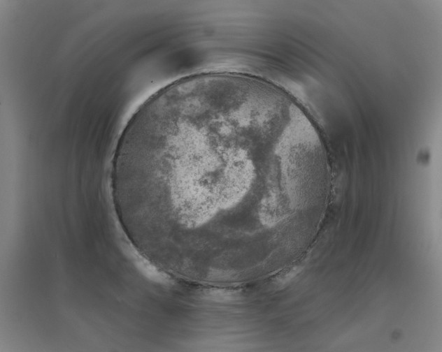 X0000094441086200711081243