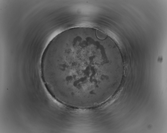X0000094441087200711081243