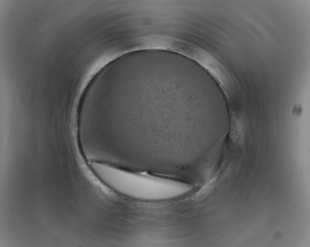 X0000094441088200711081243