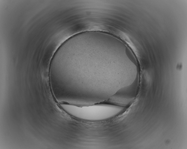 X0000094441089200711081243