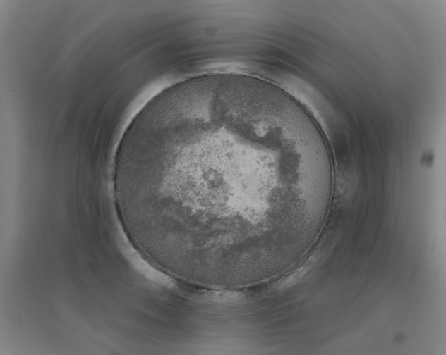 X0000094441090200711081243