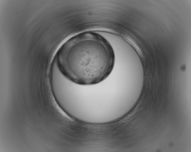 X0000094441092200711081243