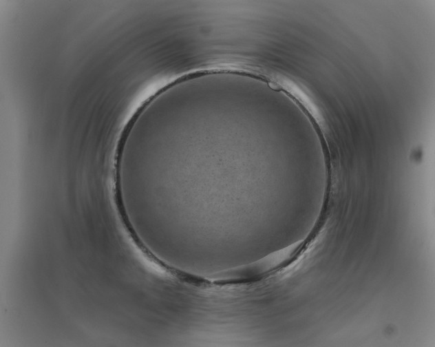 X0000094441093200711081243