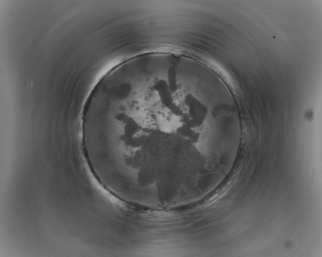 X0000094441095200711081243