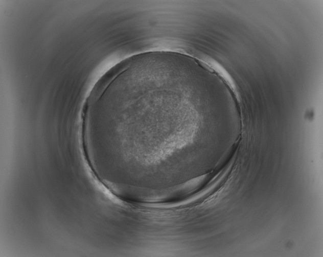 X0000094441096200711081243
