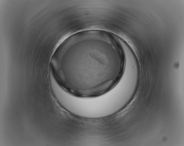 X0000094441097200711081243