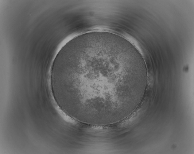 X0000094441098200711081243