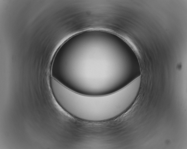 X0000094441100200711081243