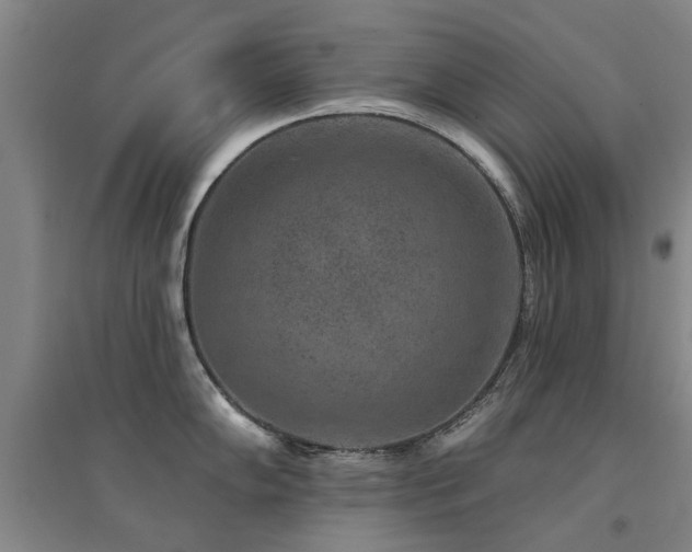 X0000094441102200711081243
