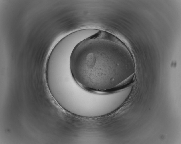 X0000094441104200711081243