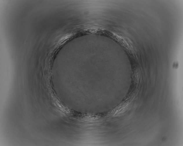 X0000094441105200711081242