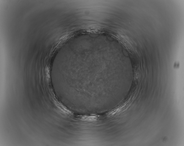X0000094441106200711081242