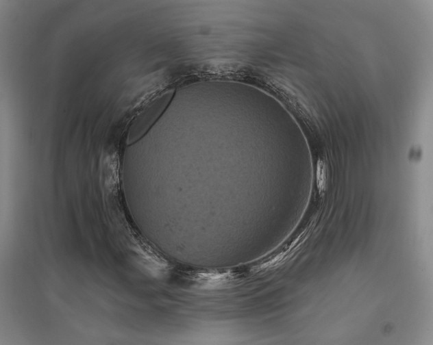 X0000094441107200711081242