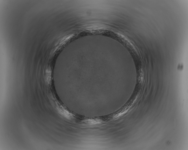 X0000094441108200711081242