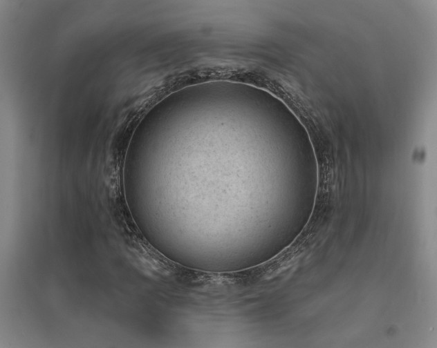 X0000094441109200711081242