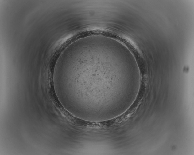X0000094441111200711081242