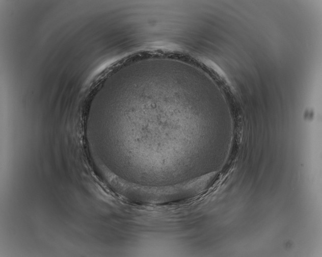 X0000094441112200711081242