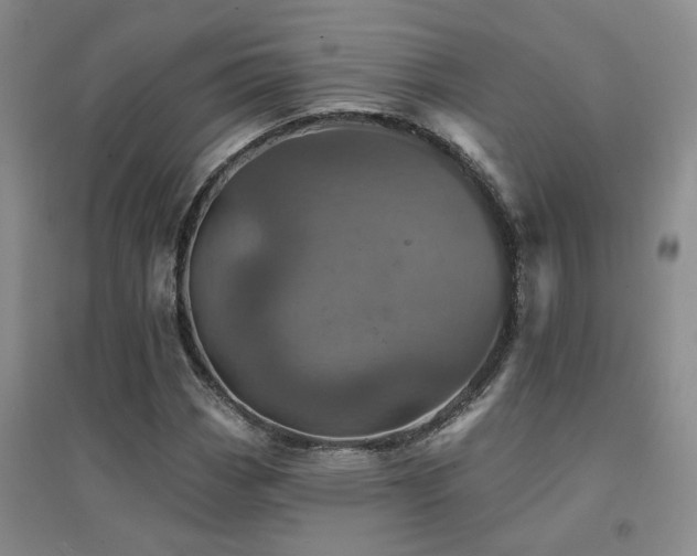 X0000094441113200711081242