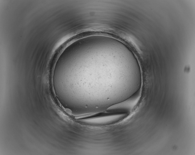 X0000094441114200711081242