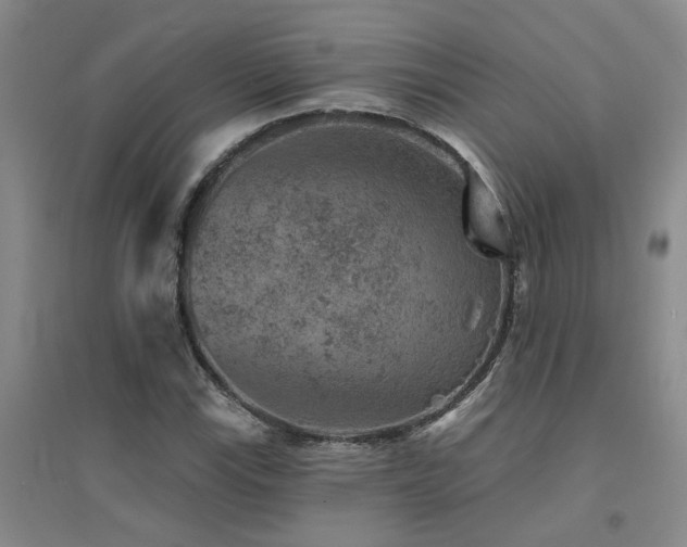 X0000094441115200711081242