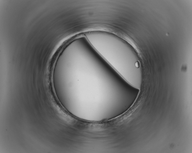 X0000094441116200711081242
