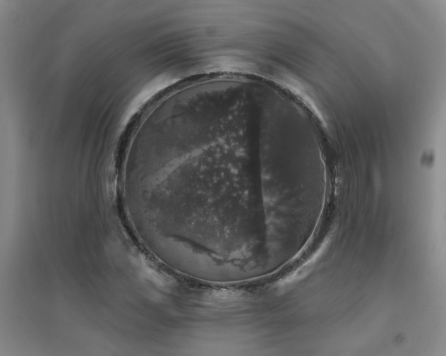 X0000094441117200711081242