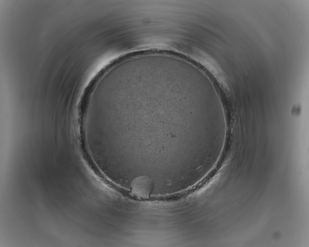 X0000094441118200711081242