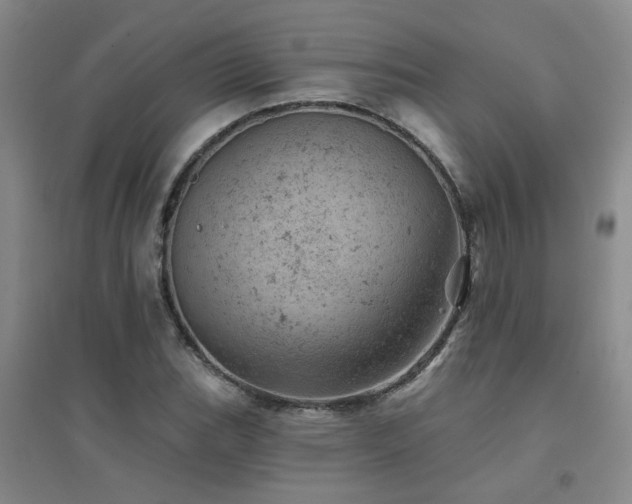 X0000094441119200711081242