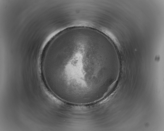 X0000094441120200711081242