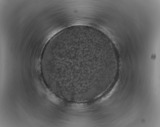 X0000094441121200711081242