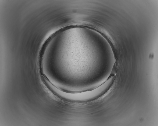 X0000094441122200711081242