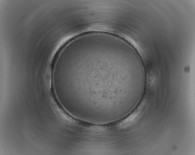 X0000094441123200711081242