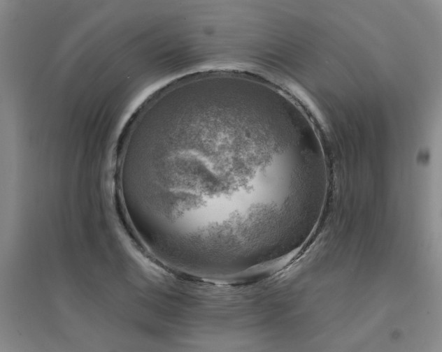 X0000094441124200711081242