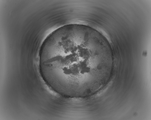 X0000094441125200711081242