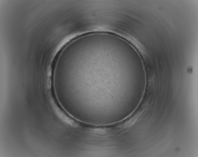 X0000094441126200711081242