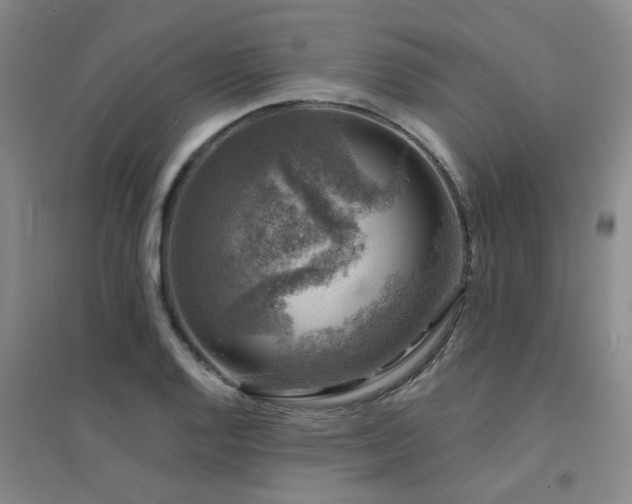 X0000094441128200711081242