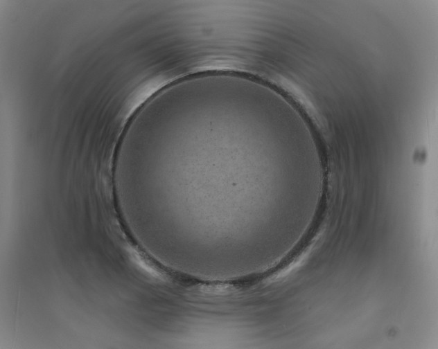 X0000094441129200711081242