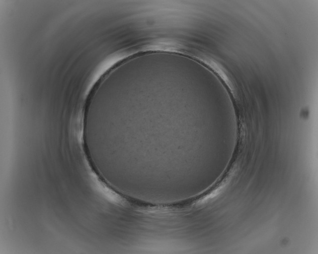 X0000094441131200711081242