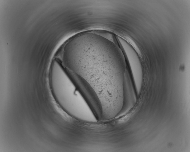X0000094441132200711081242