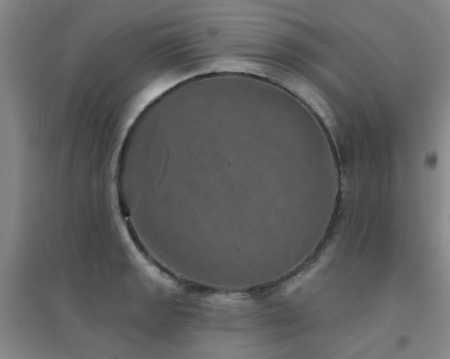 X0000094441133200711081242