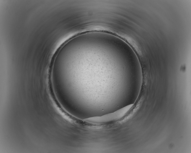 X0000094441134200711081242