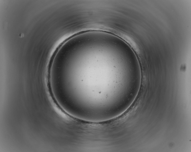 X0000094441136200711081242