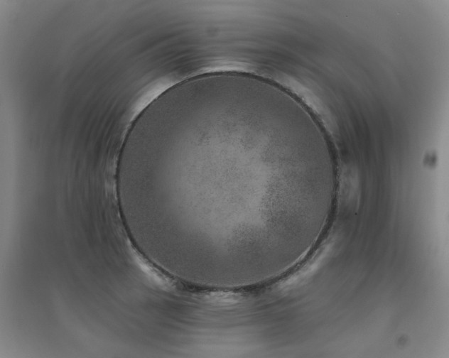 X0000094441137200711081242